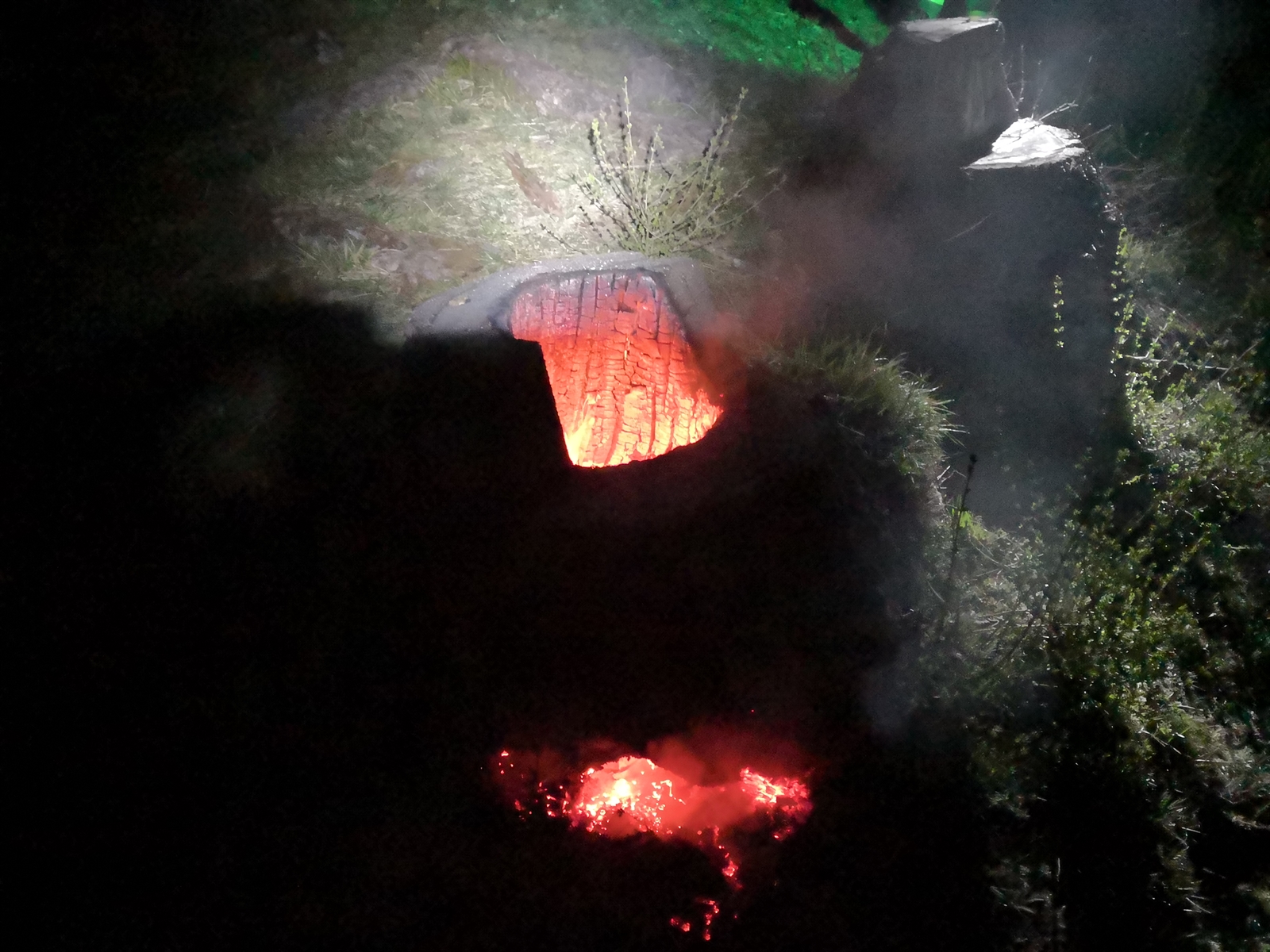 Tamins: Brennender Baumstrunk löst Feuerwehreinsatz aus
